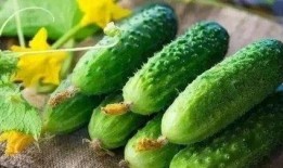 吃瓜吃的想吐,揭秘“瓜农”的吐血经历