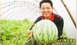 文理吃瓜墙,校园热点事件背后的真相与笑料