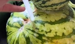 看瓜哥吃瓜搞笑视频大全,笑料横生！看瓜哥吃瓜搞笑视频大盘点