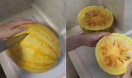 吃瓜视频壁纸高清,视觉盛宴，一睹为快