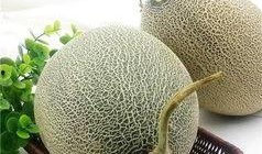 吃哈密瓜会长胖胖吗,吃哈密瓜真的会长胖吗？