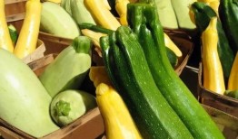 新邵吃瓜,揭秘当地特色美食背后的故事