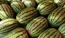 大迪成都吃瓜,揭秘网红美食背后的故事