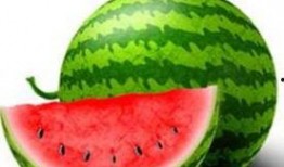 吃啥瓜中毒,网络谣言背后的真相与反思