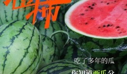 神秘作者吃瓜,揭秘娱乐圈背后的秘密与真相