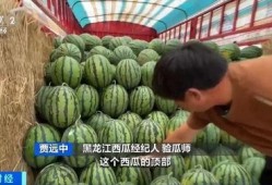 关于吃瓜的行情,揭秘吃瓜行情背后的秘密