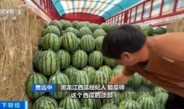 关于吃瓜的行情,揭秘吃瓜行情背后的秘密