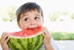 吃瓜摩友,揭秘摩托车圈的那些事儿