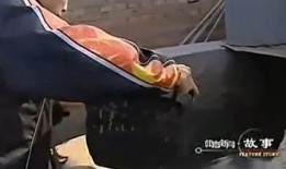 马龙吃瓜合集,揭秘乒乓球冠军的趣味生活瞬间