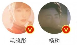 吃瓜被热议,揭秘网络舆论背后的真相与反思