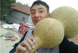 沂水吃瓜事件视频,一场网络热议背后的真相揭秘