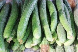 吃瓜可以变白吗,吃瓜也能美白？揭秘神奇美白秘密