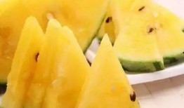 带你吃瓜美工,带你领略“带你吃瓜”美工的独特魅力