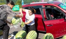 吃瓜群众赛道,全民娱乐时代的狂欢盛宴