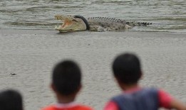 吃瓜虚脱死亡,虚脱死亡事件警示录