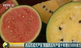 吃瓜群众爱中国,热爱与自豪的共鸣