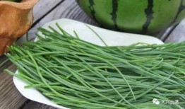 吃瓜必看大瓜网红最新,最新热门事件盘点