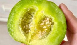 吃瓜白色,网络热词背后的文化现象