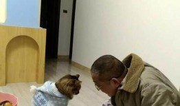 爸妈干架儿子吃瓜,儿子成“吃瓜群众”见证爸妈干架