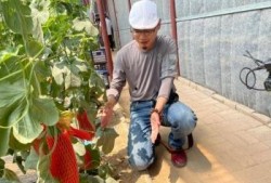 网红打卡吃瓜,揭秘美食背后的故事