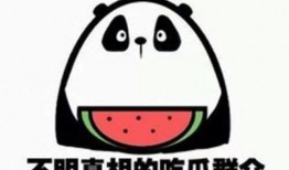 吃瓜群众赛道,全民娱乐时代的狂欢盛宴