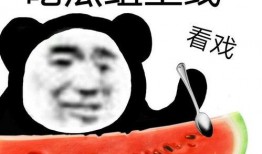 吃瓜记录本,揭秘娱乐圈幕后故事