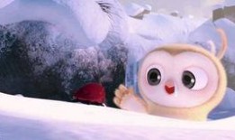 兔宝宝吃瓜视频,萌宠趣味瞬间，萌化你的心