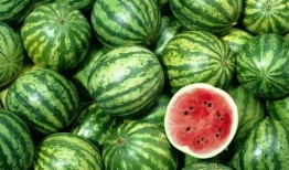 吃瓜吃太多照片怎么办,还原清新形象