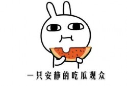 星闻吃瓜,揭秘娱乐圈背后的那些事儿