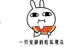 星闻吃瓜,揭秘娱乐圈背后的那些事儿