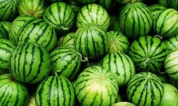 八街吃瓜,探寻老街美食的秘密