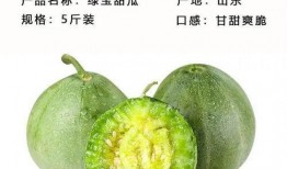 锁手瓜怎么吃,锁手瓜的多样食法探索