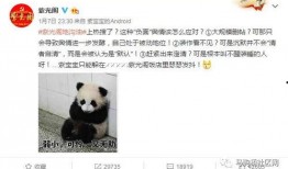 吃瓜被热议,揭秘网络舆论背后的真相与反思