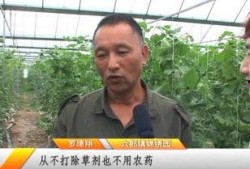 六郎吃瓜,揭秘娱乐圈背后的那些事儿