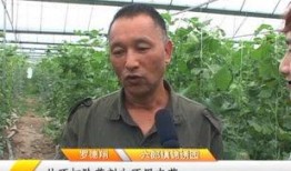 六郎吃瓜,揭秘娱乐圈背后的那些事儿