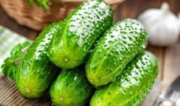 吃瓜症是什么,网络时代下的好奇心陷阱