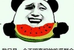 探寻真相的吃瓜群众,吃瓜群众的探寻之旅