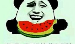 吃瓜的出处,吃瓜群众视角下的娱乐圈风云录