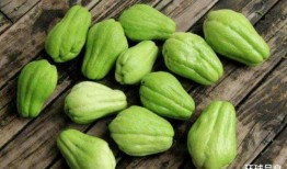 测智力吃瓜视频,揭秘视频背后的智力挑战与趣味互动