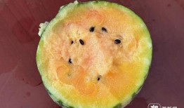 上太空吃瓜,揭秘宇航员太空吃瓜趣事