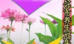 火爆吃瓜小说免费阅读,火爆吃瓜小说免费阅读大揭秘