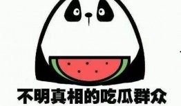 吃瓜群众来了全集,揭秘娱乐圈风云变幻的幕后故事