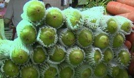 早上吃葫芦瓜,开启健康活力新一天