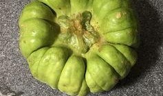 西昌西部吃瓜,瓜果飘香，品味田园生活