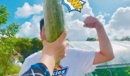 带你吃瓜美工,带你领略“带你吃瓜”美工的独特魅力