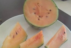 重复吃瓜,重复吃瓜的趣味与反思