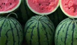 吃瓜出事抓谁,揭秘“吃瓜出事”背后的责任归属