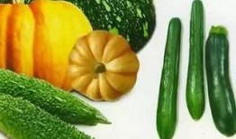 吃瓜吊死,揭秘“吃瓜吊死”背后的惊人真相