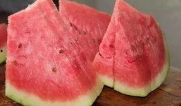 吃石头瓜的视频播放,视频播放揭示独特风味之谜