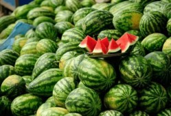 带你吃瓜解压盒子,轻松释放生活压力